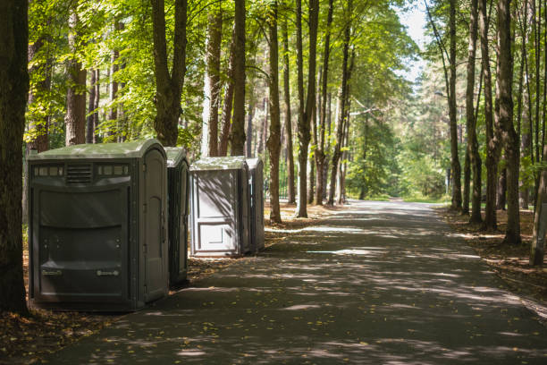 Best Porta potty for special events  in Temperance, MI